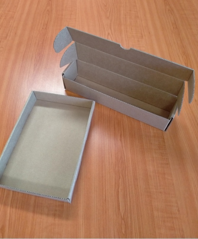 Trays and pastry Cartons