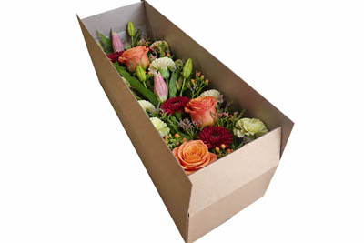 Flowers-Boxes